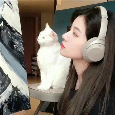 父子神探之燕子窠迷案